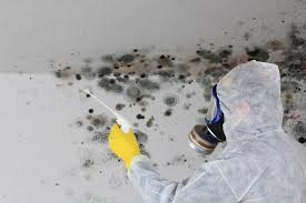 Best Airborne Mold Testing  in Ferndale, CA